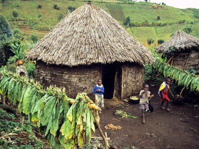 Empowering Local Radios with ICTs